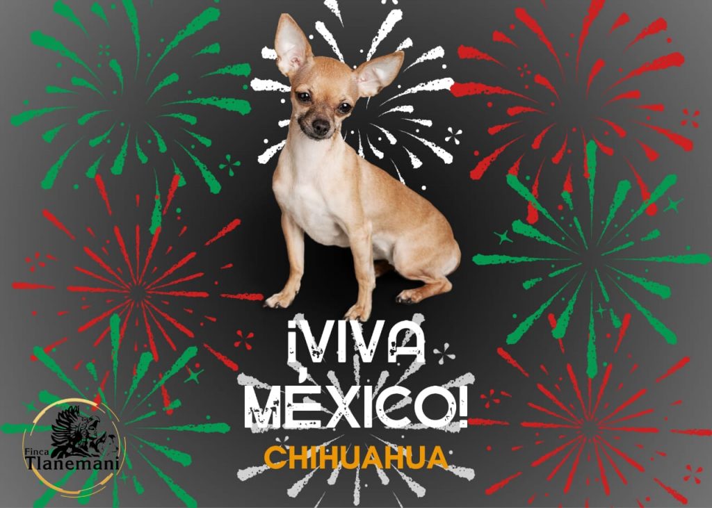 Finca-Tlanemani-Viva-Mexico-Chihuahua