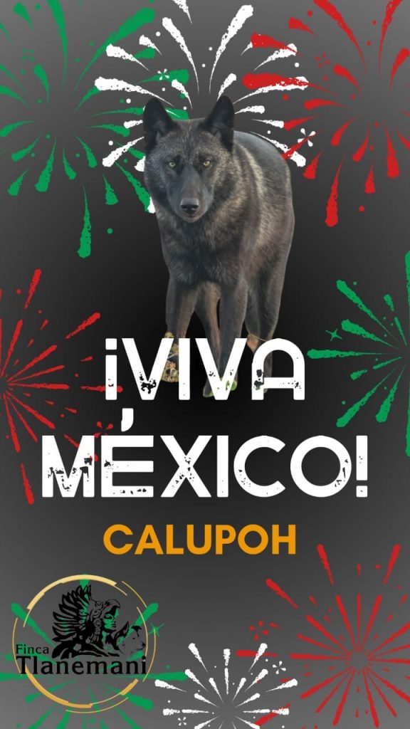 Finca-Tlanemani-Viva-Mexico-calupoh