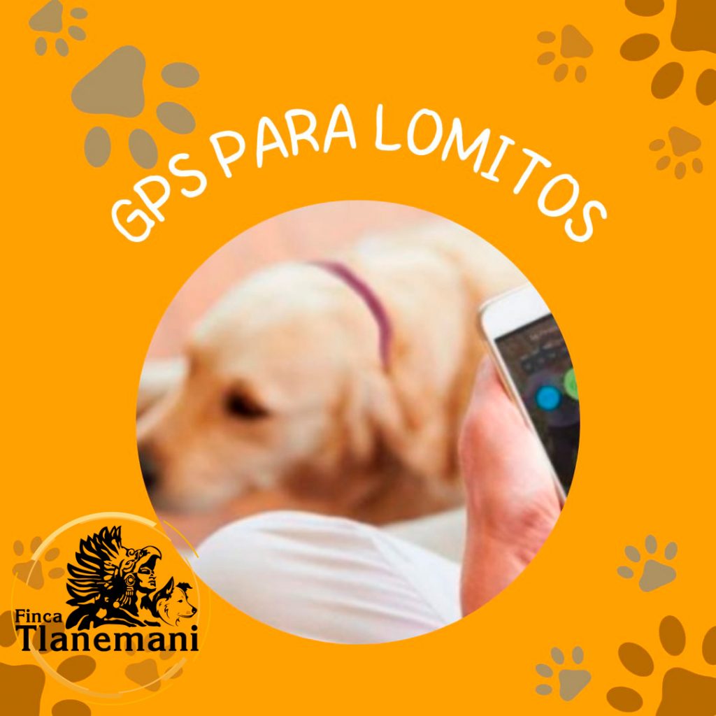 GPS PARA LOMITOS