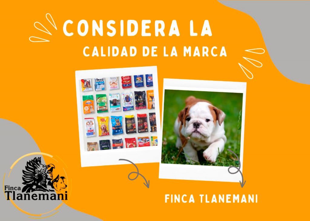 Finca Tlanemani - Como escoger las croquetas de tu perrito - considera la calidad de la marca
