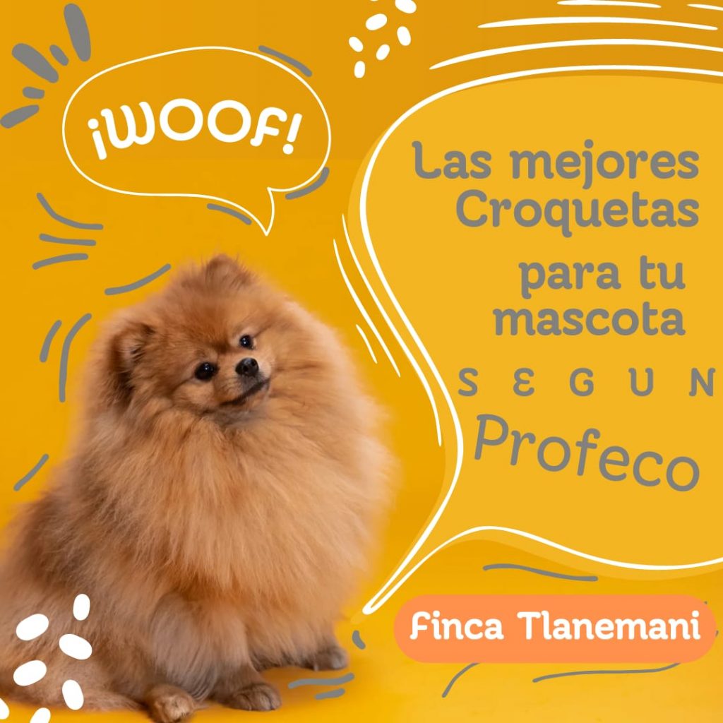 Finca Tlanemani - Como escoger las croquetas de tu perrito - las mejores marcas de corquetas segun profeco