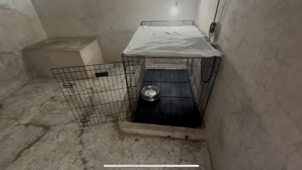 Educacion Canina Temprana - Finca Tlanemani 05