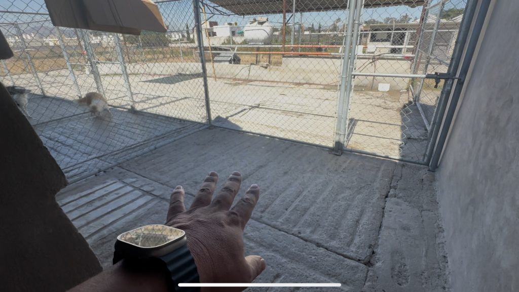 Educacion Canina Temprana - Finca Tlanemani 06