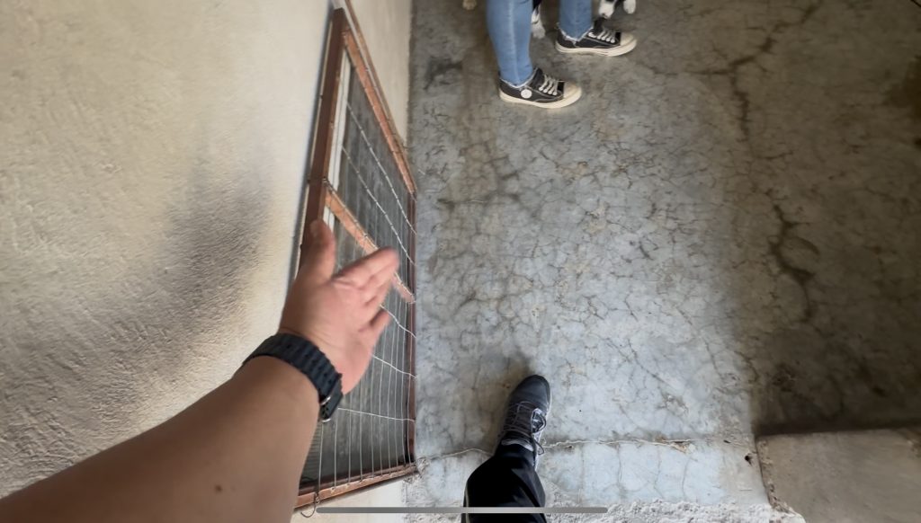 Educacion Canina Temprana - Finca Tlanemani 07