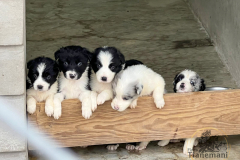 Finca-Tlanemani-Torunn-1er-sesion-1 Finca-Tlanemani-Torunn-1er-sesion-1