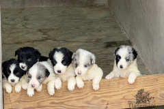 Finca-Tlanemani-Torunn-1er-sesion-2 Finca-Tlanemani-Torunn-1er-sesion-2