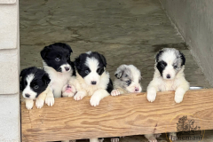 Finca-Tlanemani-Torunn-1er-sesion-4 Finca-Tlanemani-Torunn-1er-sesion-4