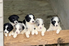 Finca-Tlanemani-Torunn-1er-sesion-5