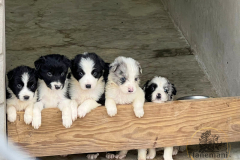 Finca-Tlanemani-Torunn-1er-sesion-6 Finca-Tlanemani-Torunn-1er-sesion-6