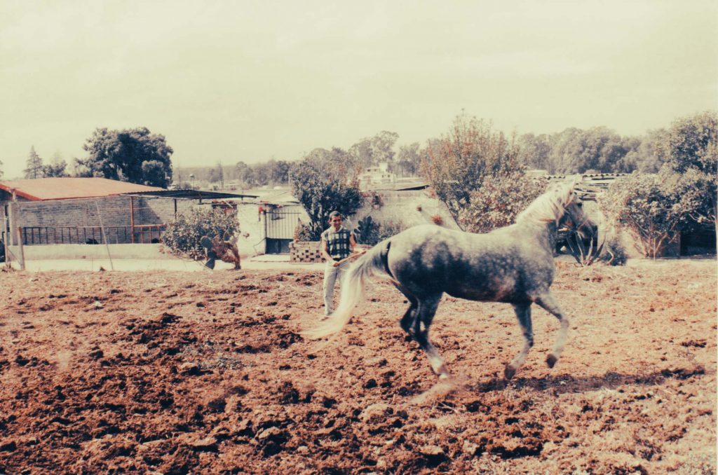 Finca Tlanemani historia 01