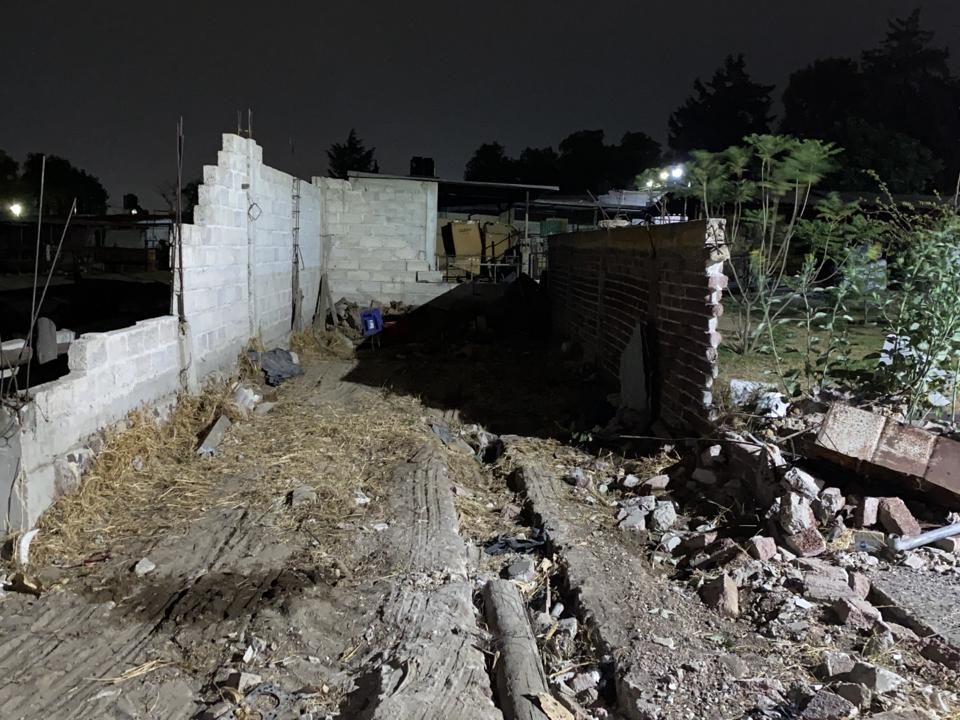 proceso de evolucion 01