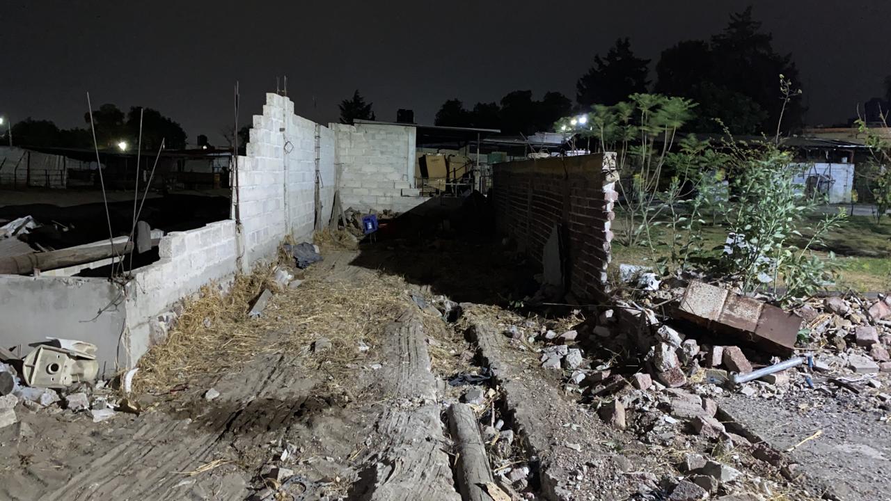 proceso de evolucion 01