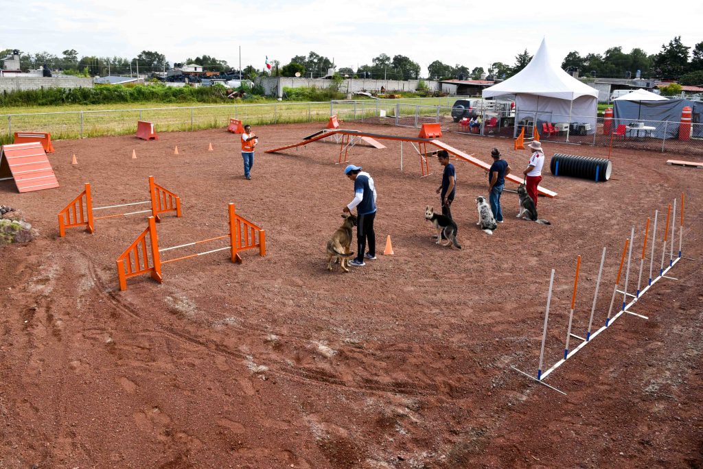 Finca Tlanemani - Adiestramiento Canino 003