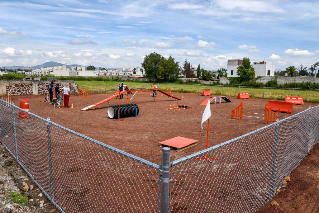 Finca Tlanemani - Adiestramiento Canino 004