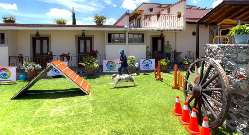 Finca Tlanemani - Adiestramiento Canino 005