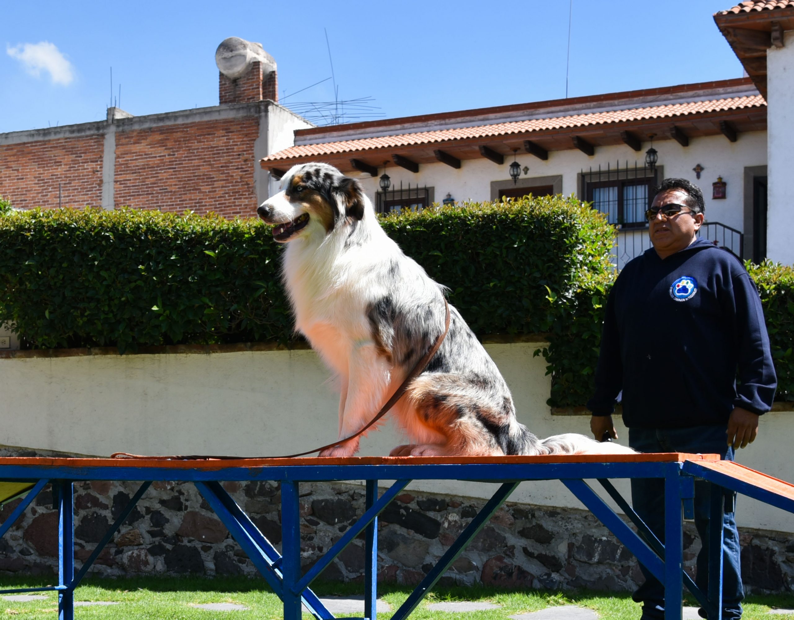 inca Tlanemani les da la bienvenida a este 2014