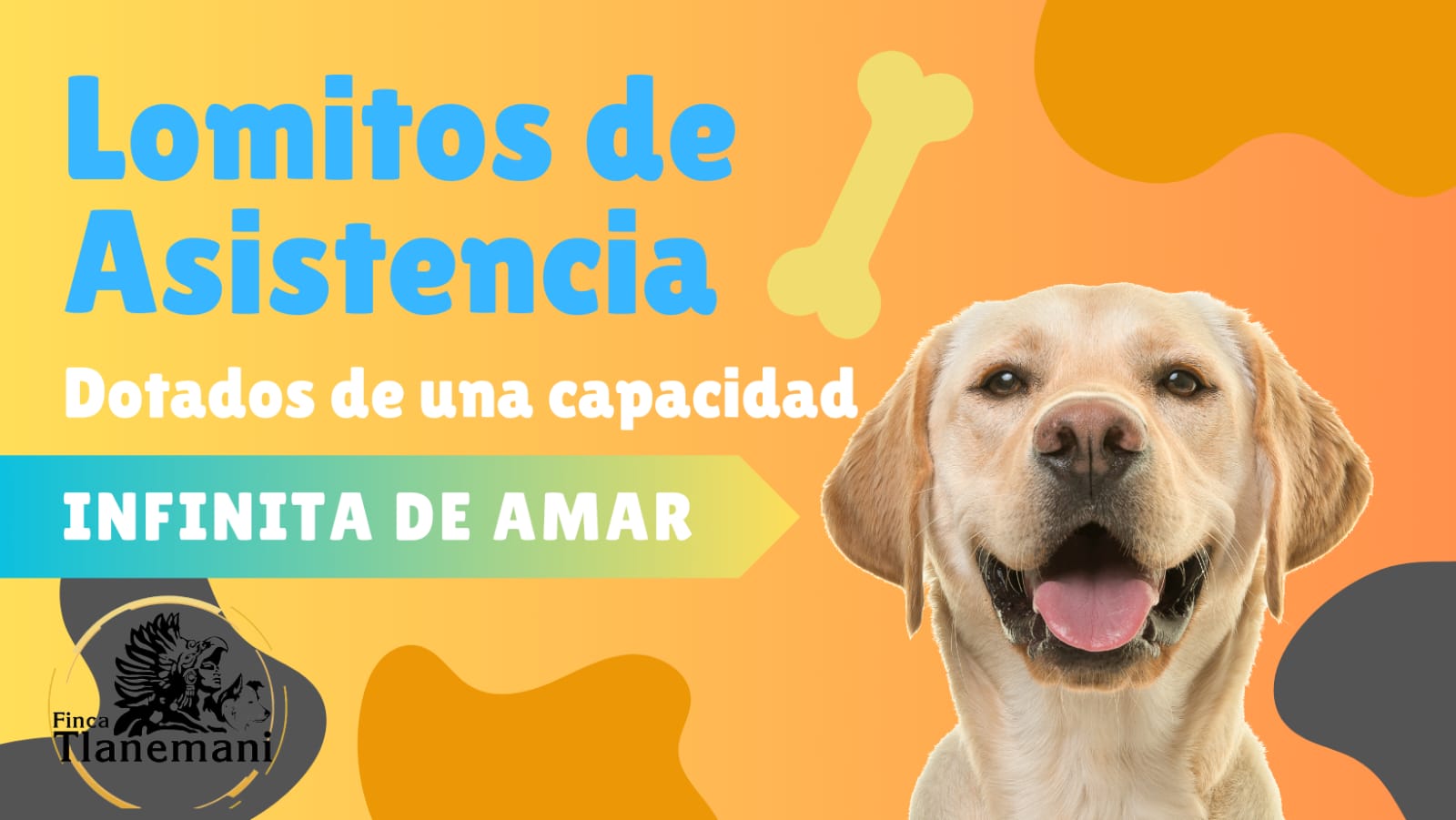 Finca Tlanemani - Lomitos de asitencia - titulo