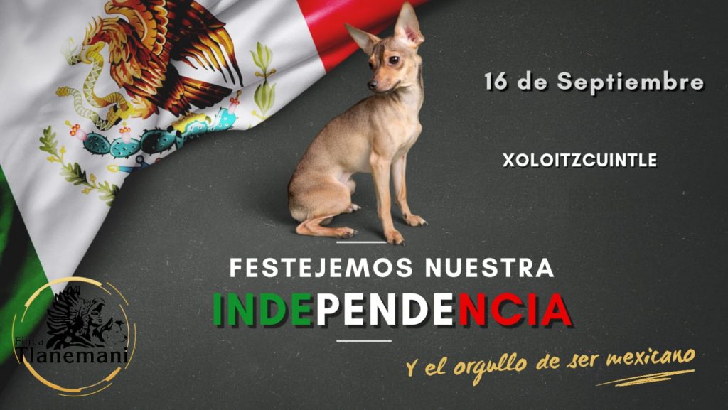 Finca Tlanemani - Viva Mexico - Dia de la independencia 16 Septiembre 2023