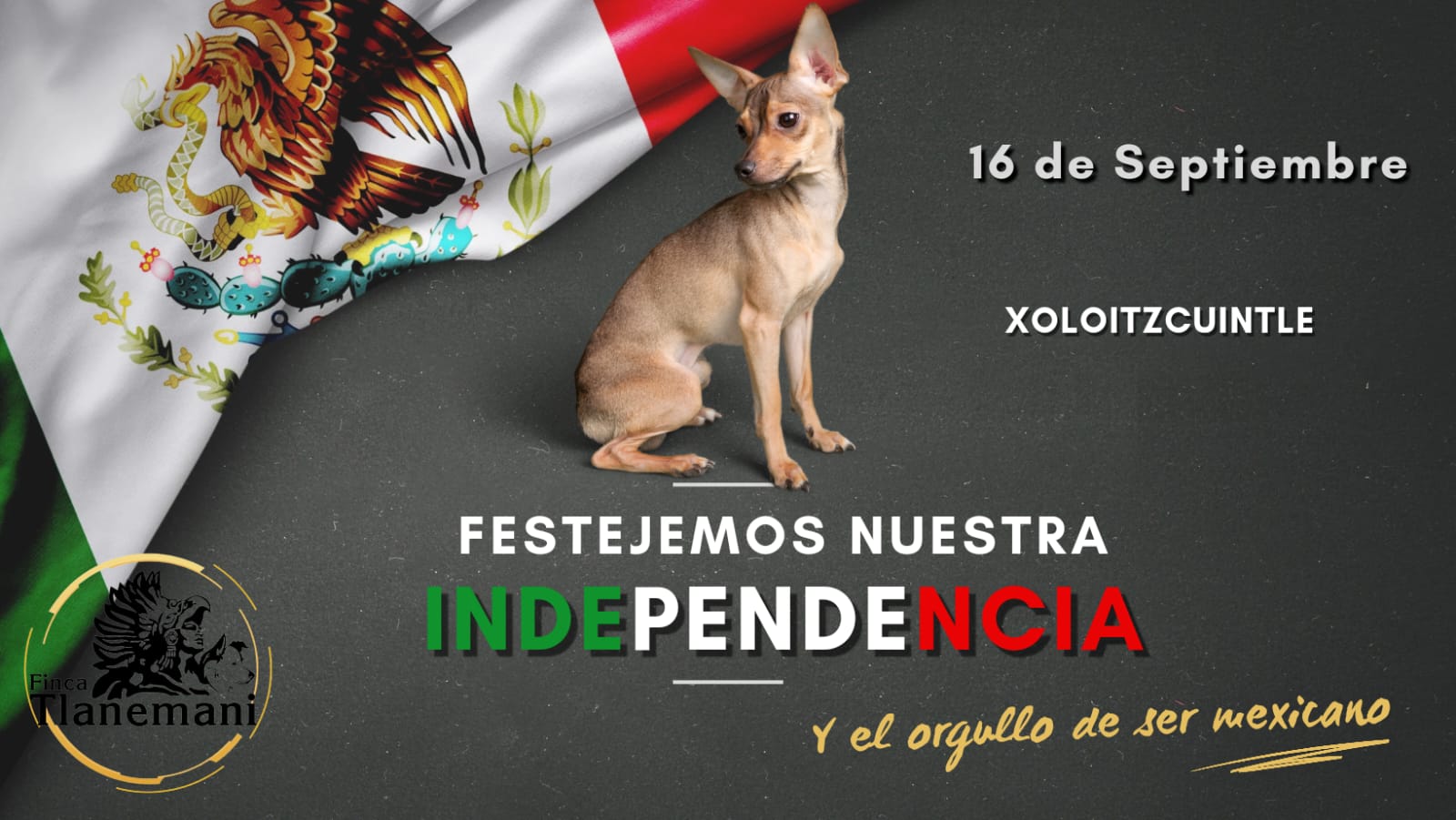 Finca Tlanemani - Viva Mexico - Dia de la independencia 16 Septiembre 2023