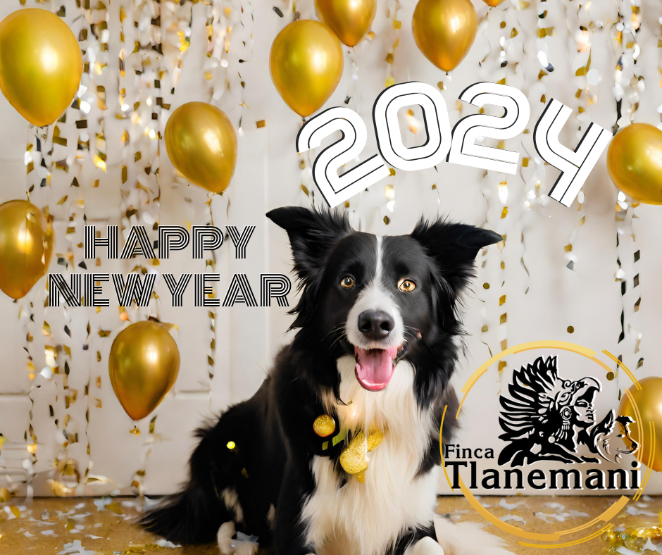 Finca-Tlanemani-les-da-la-bienvenida-a-este-2014