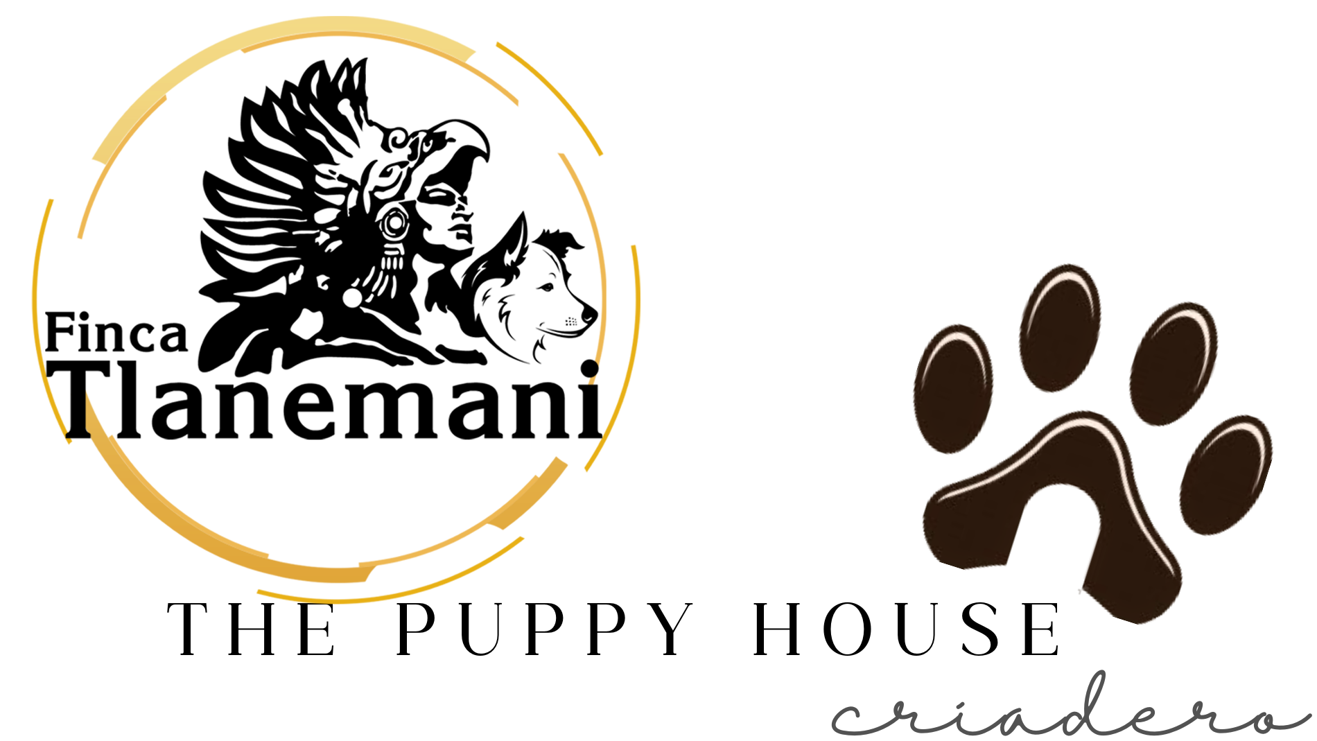 Finca Tlanemani y The Puppy House