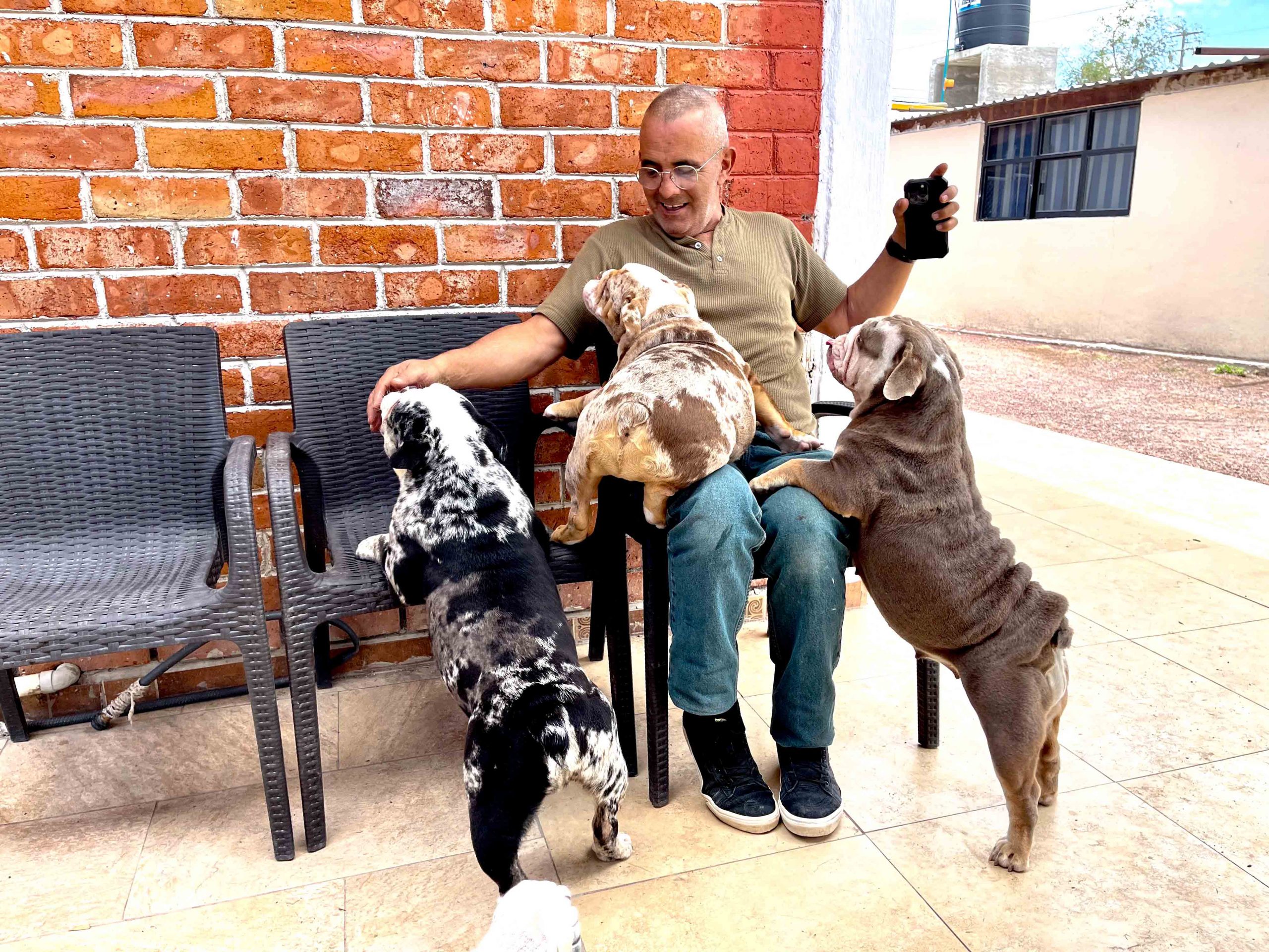 Asi crecen los cachorros en Finca Tlanemani 010